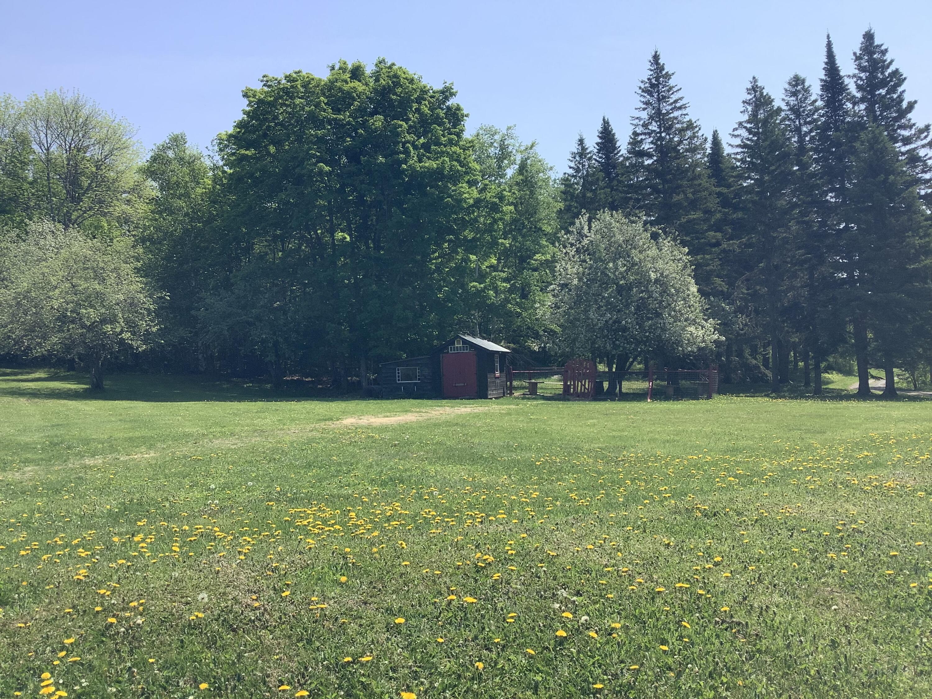 288 Richardson Road Mapleton, ME 04757 - Photo 59 of 67 IMG_1453