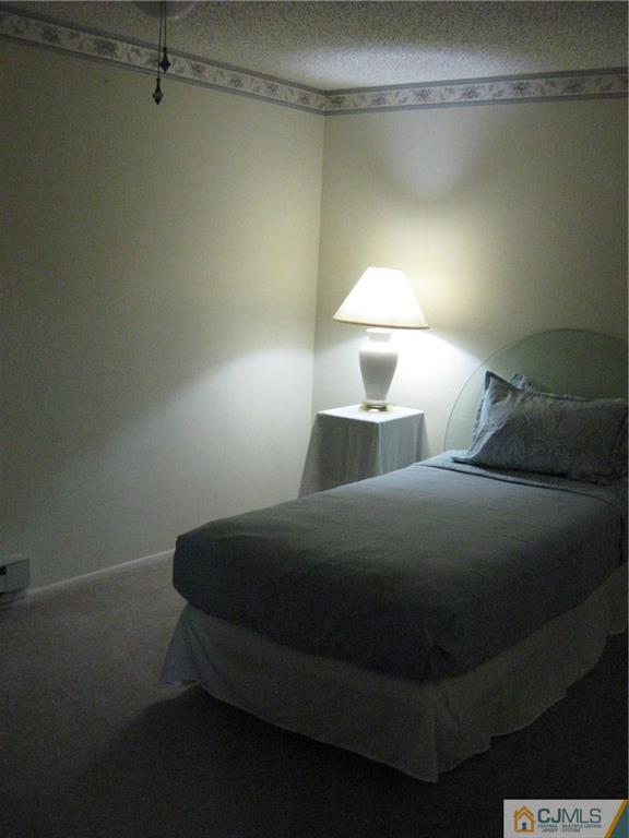 159 B Pitman Road Monroe Township, NJ 08831 - Photo 14 of 21 Gallery Image 14