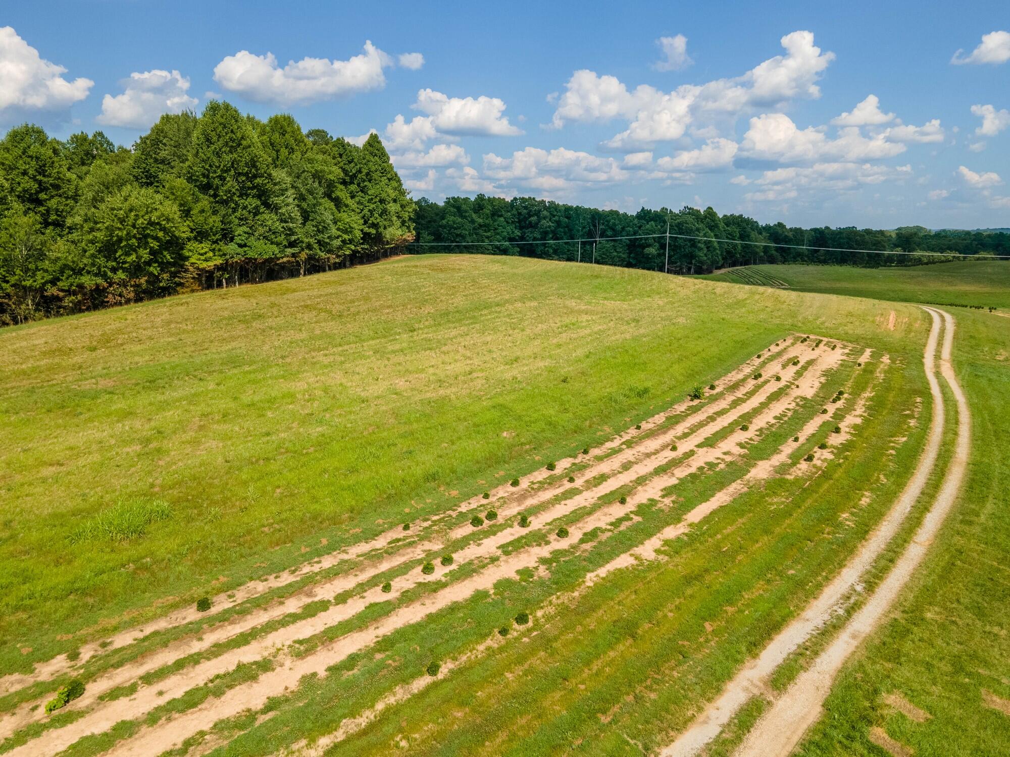 8599 Keavy Road Keavy, KY 40737 - Photo 6 of 29 09 - DJI_0012-HDR
