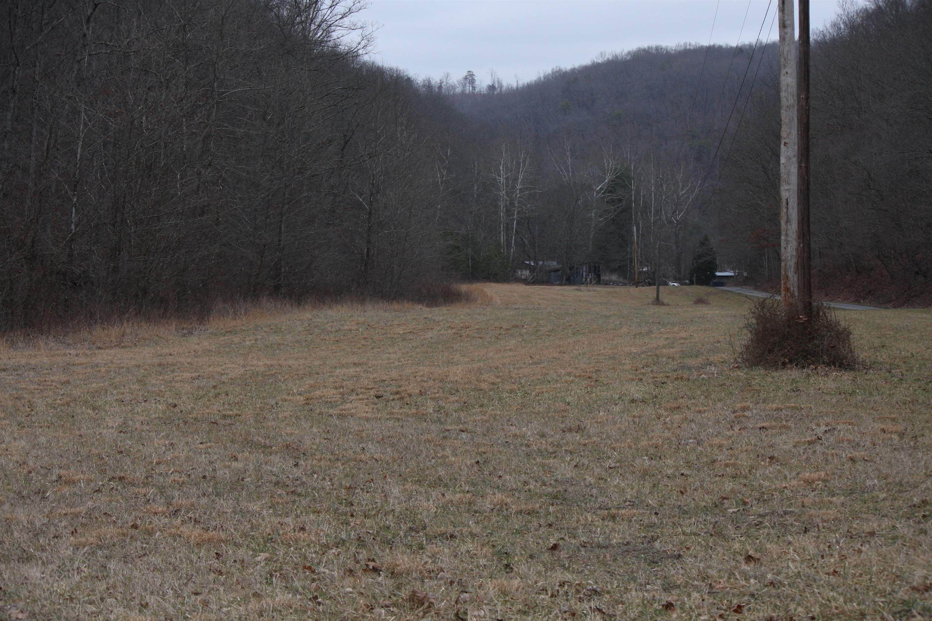Boone Branch Road Garrison, KY 41141 - Photo 2 of 19