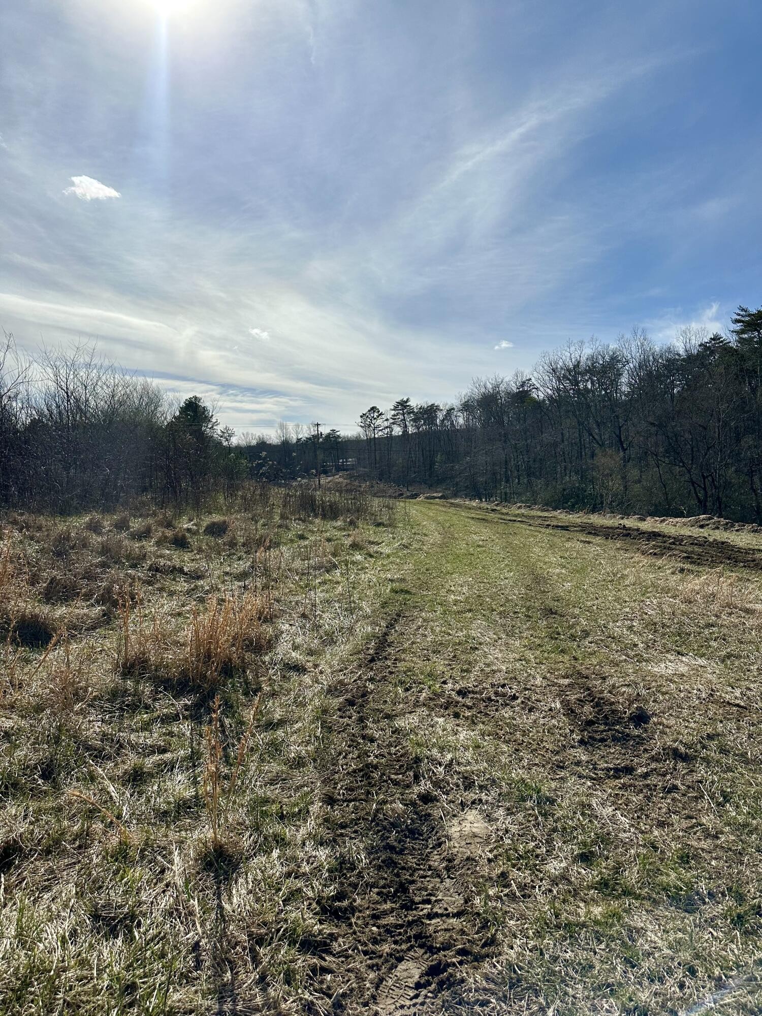 0 Lewis Chapel Road Dunlap, TN 37327 - Photo 11 of 38 Gallery Image 11