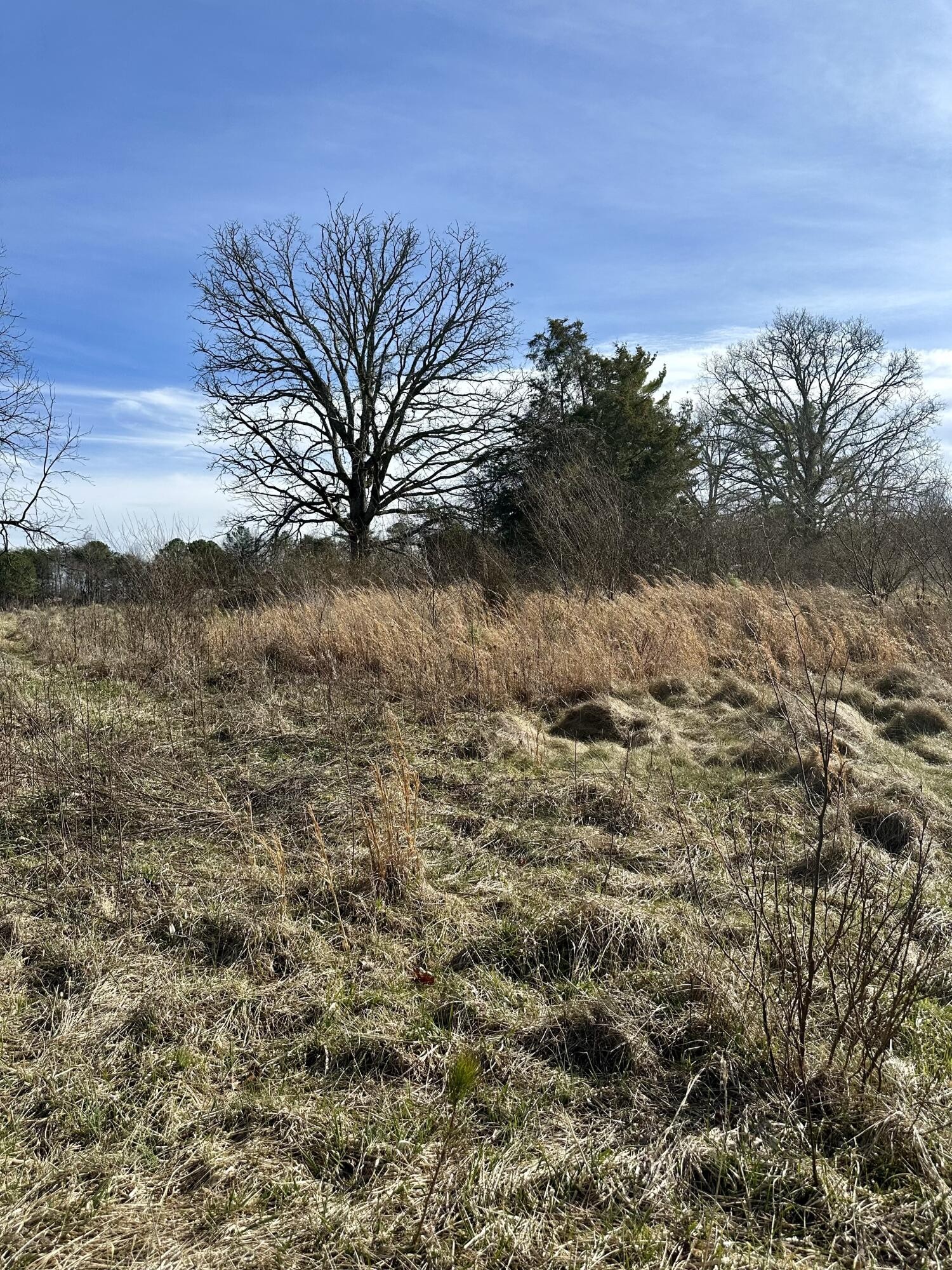 0 Lewis Chapel Road Dunlap, TN 37327 - Photo 12 of 38 Gallery Image 12