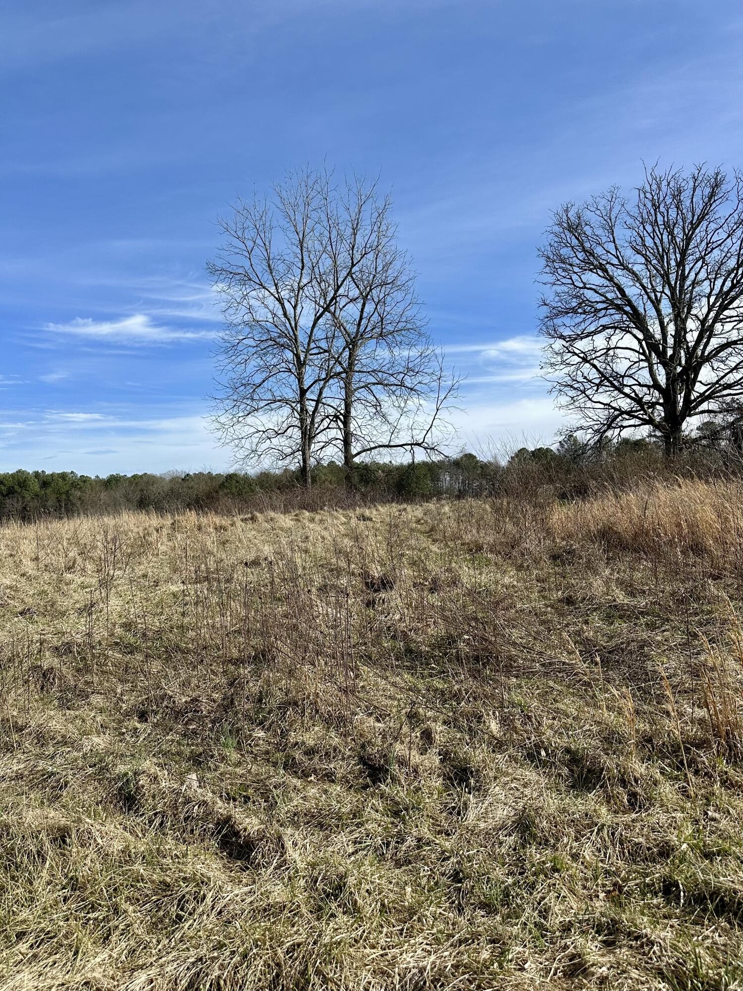 0 Lewis Chapel Road Dunlap, TN 37327 - Photo 15 of 38 Gallery Image 15