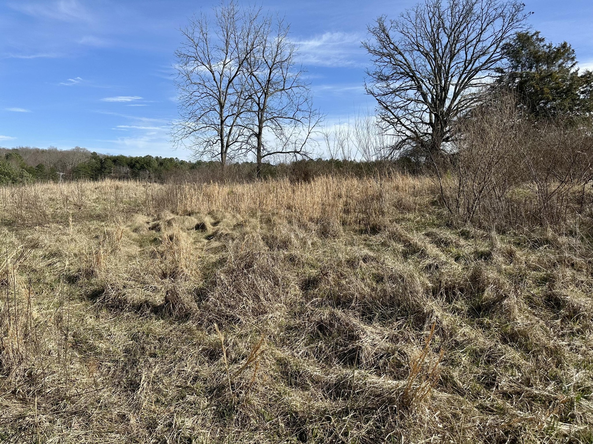 0 Lewis Chapel Road Dunlap, TN 37327 - Photo 20 of 38 Gallery Image 20