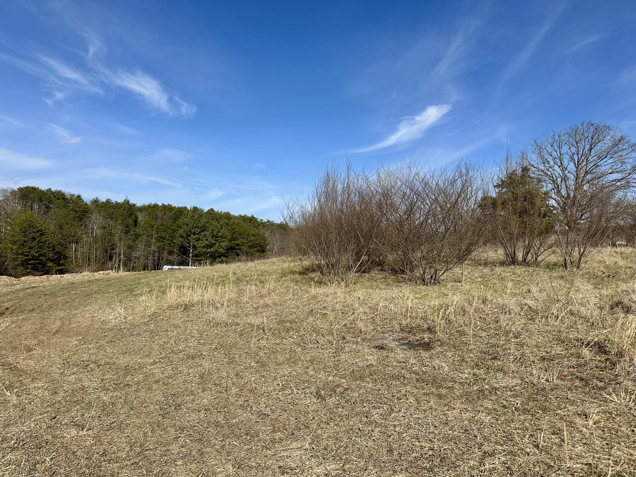 0 Lewis Chapel Road Dunlap, TN 37327 - Photo 26 of 38 Gallery Image 26