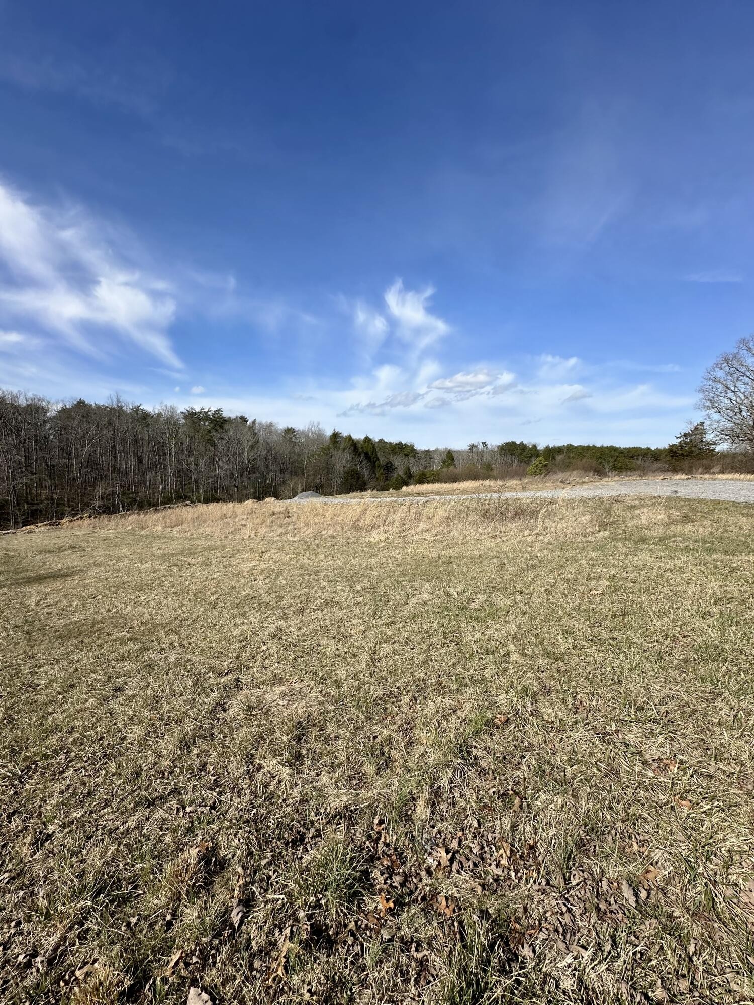 0 Lewis Chapel Road Dunlap, TN 37327 - Photo 3 of 38 Gallery Image 3