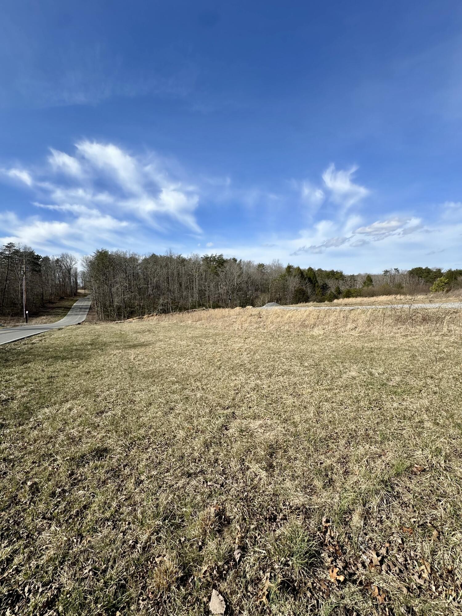 0 Lewis Chapel Road Dunlap, TN 37327 - Photo 8 of 38 Gallery Image 8
