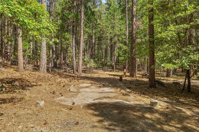 $550,000 | 6638 Ray Family Lane, Magalia, CA 95954