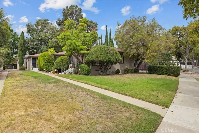 a view of a yard with plants and trees