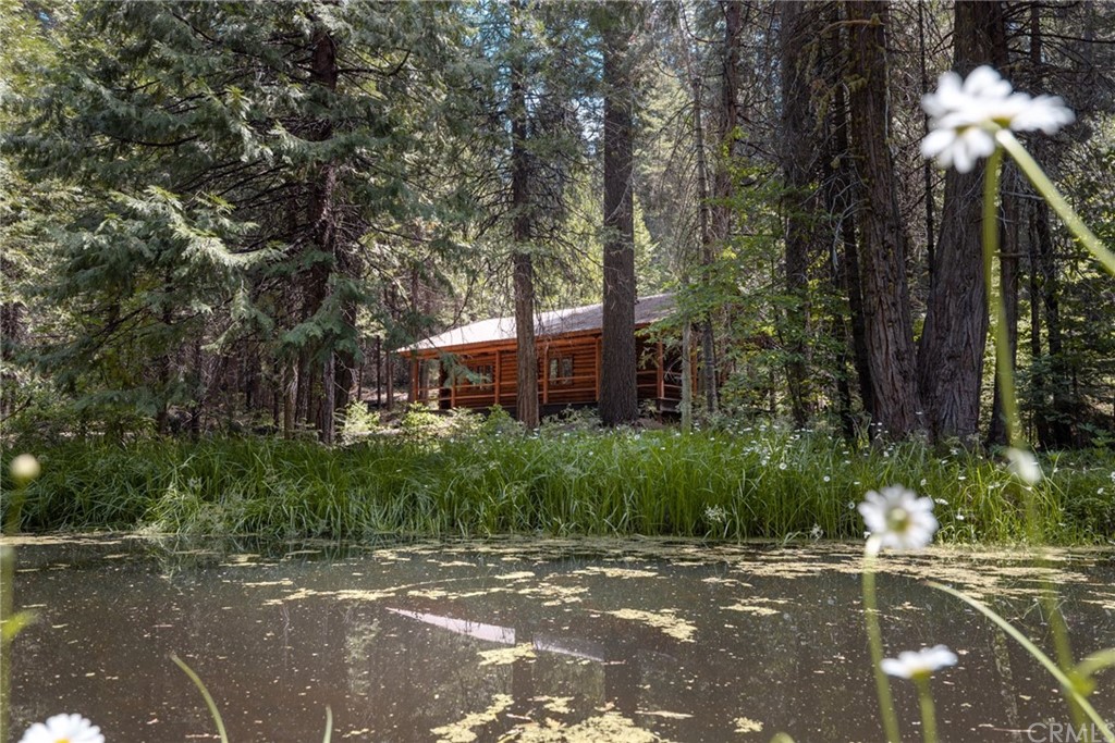 Welcome to your cabin retreat overlooking Golden Pond!