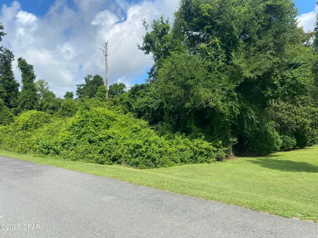 $42,000 | 0 Magnolia Blossom Lane, Unit 16, Marianna, FL 32446