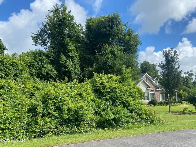 $42,000 | 0 Magnolia Blossom Lane, Unit 16, Marianna, FL 32446