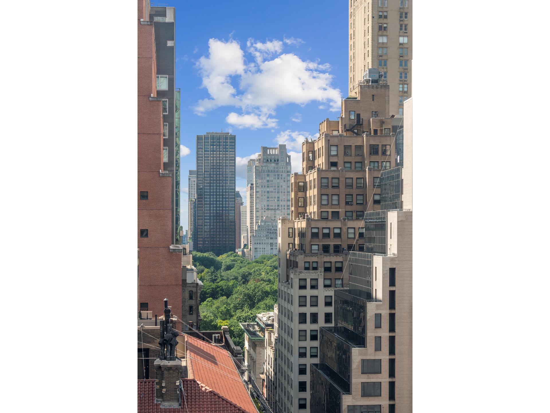 515 Park Avenue, Unit 19 Manhattan, NY 10022 - Photo 15 of 19 a view of balcony with a potted plant