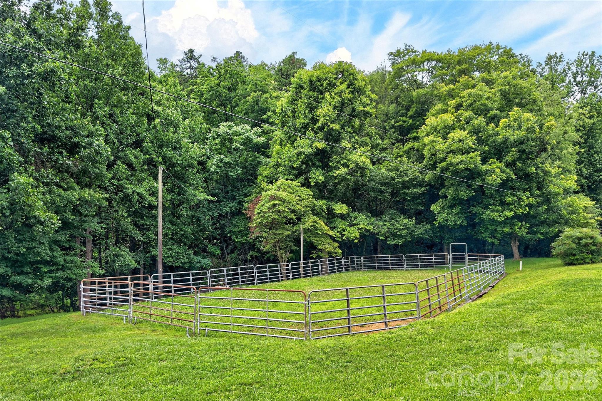 664 Paxton Creek Road Marion, NC 28752 - Photo 32 of 47