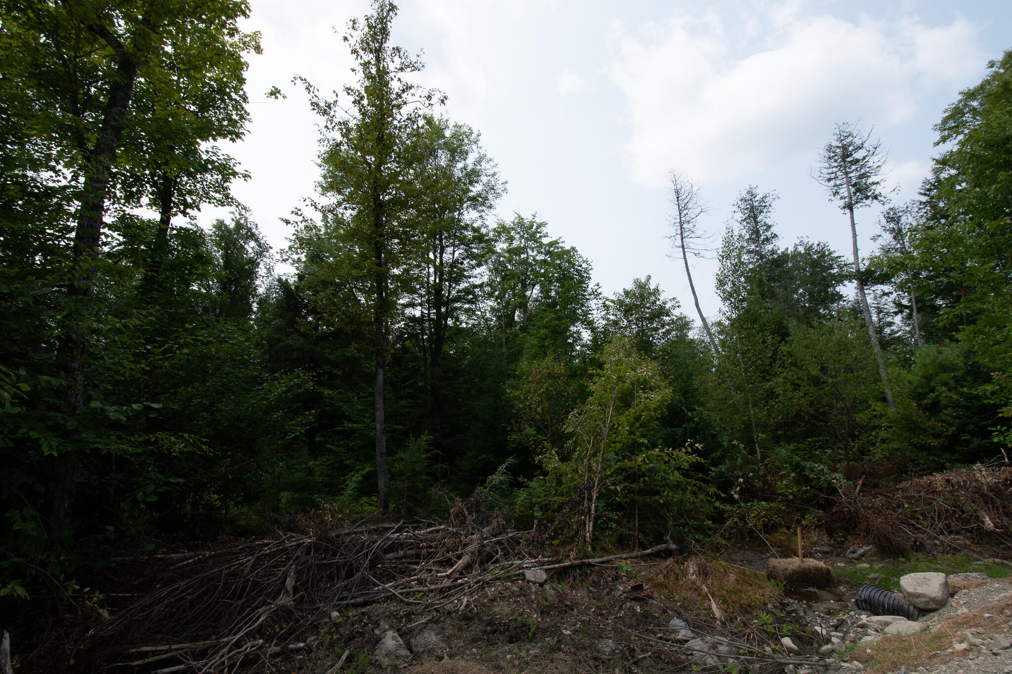 Lot2 Lot2 Bear Brook Sebec, ME 04481 - Photo 13 of 14 DSC_0040