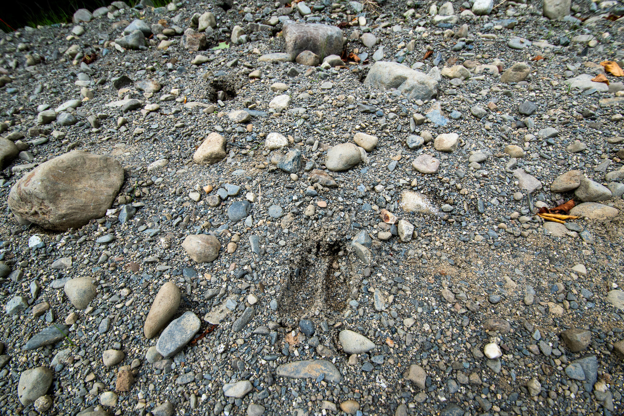 Lot2 Lot2 Bear Brook Sebec, ME 04481 - Photo 6 of 14 DSC_0039