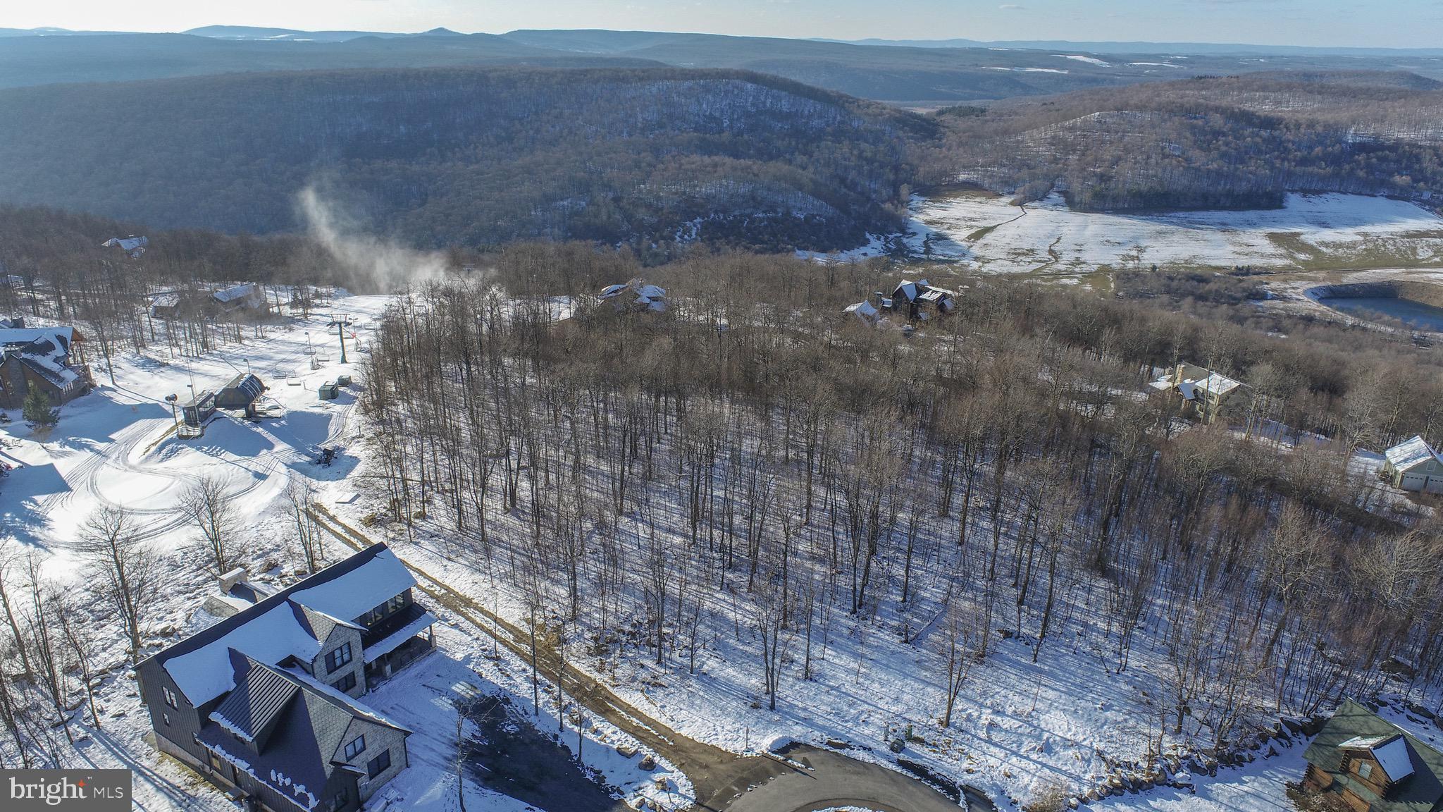 Lot 85 Lot Road McHenry, MD 21541 - Photo 11 of 14