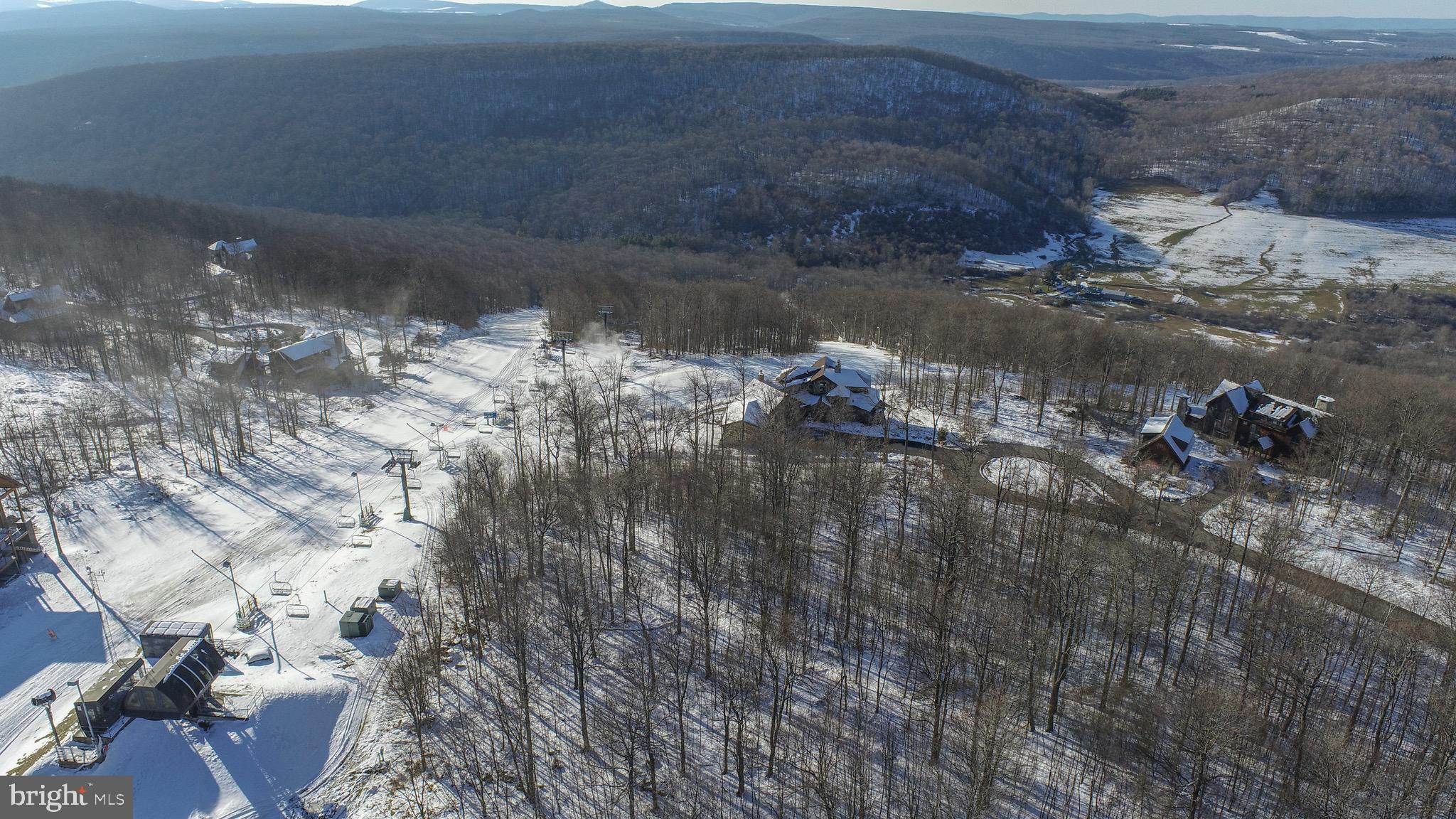 Lot 85 Lot Road McHenry, MD 21541 - Photo 7 of 14