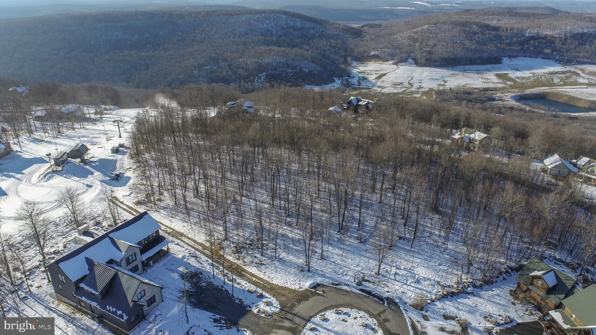 Lot 85 Lot Road McHenry, MD 21541 - Photo 9 of 14