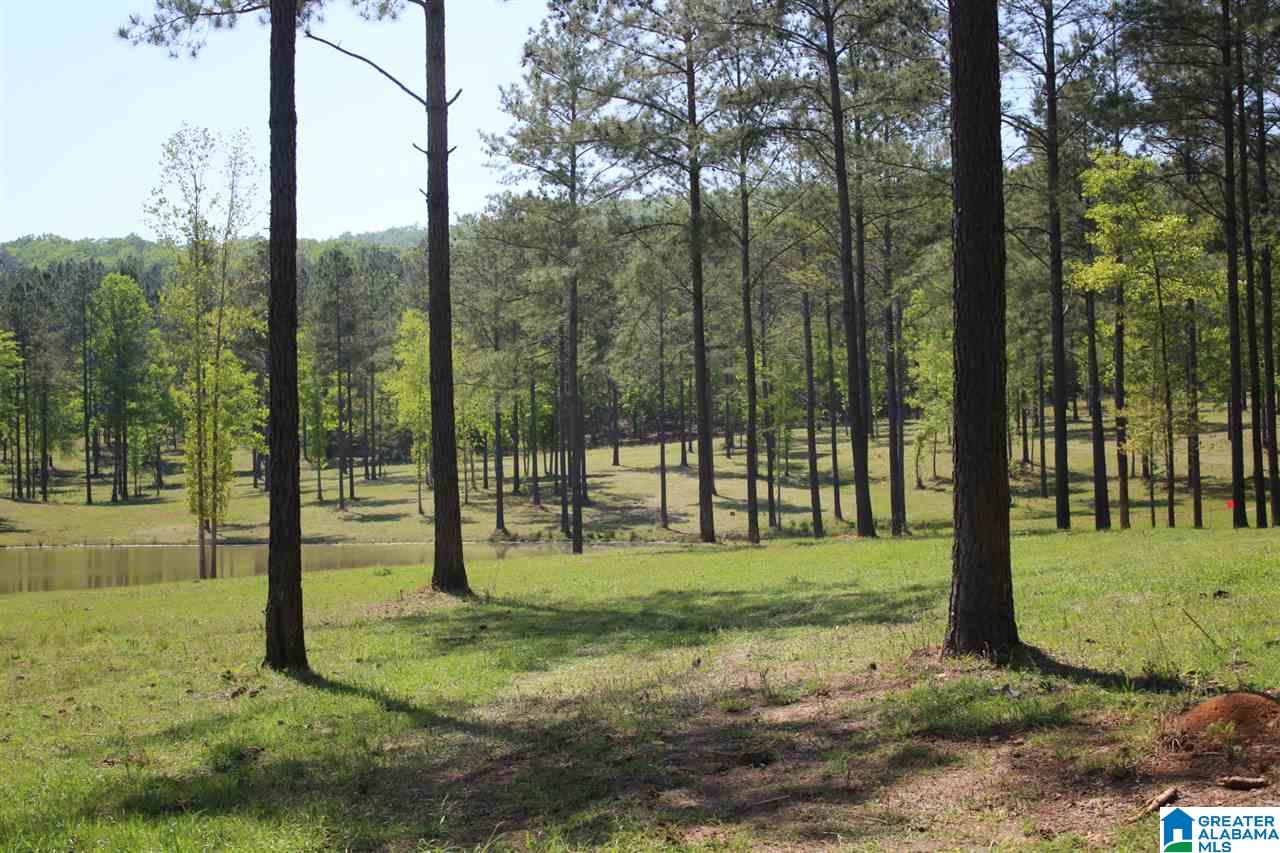 0 Alston Farm Road, Unit 1 Columbiana, AL 35051 - Photo 8 of 8