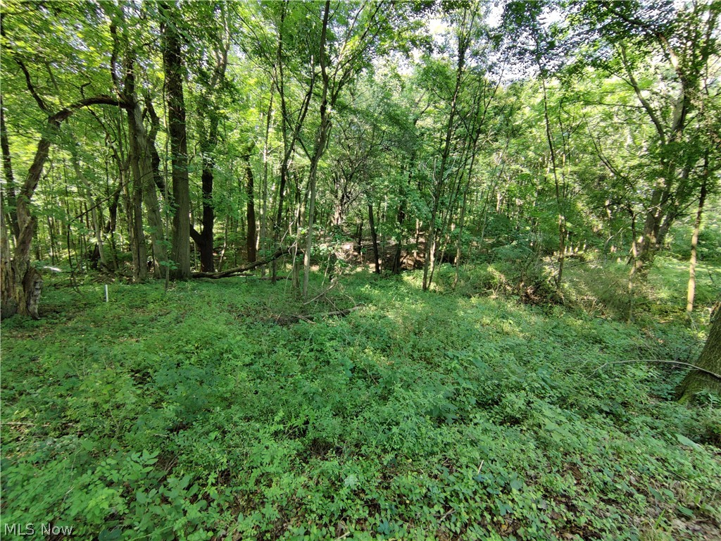 1551 Johns Road Clinton, OH 44216 - Photo 20 of 21