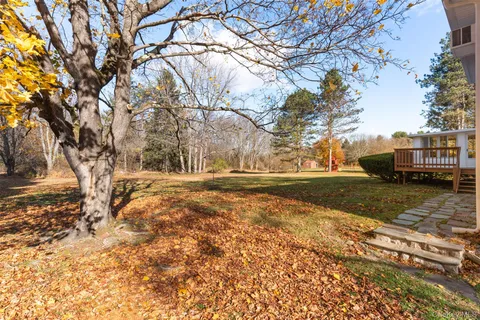 a view of yard with tree
