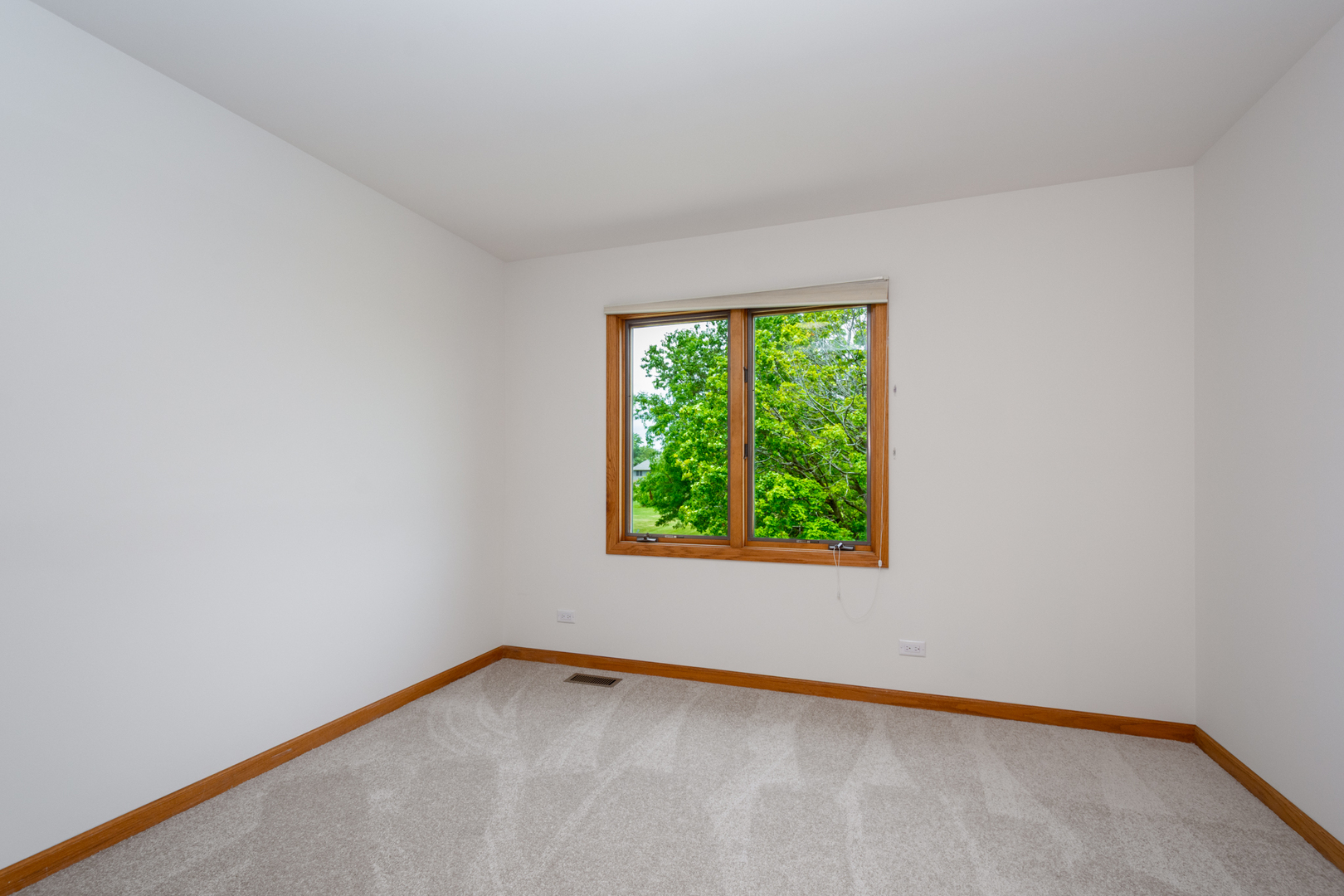 2302 English Prairie Road Spring Grove, IL 60081 - Photo 37 of 51