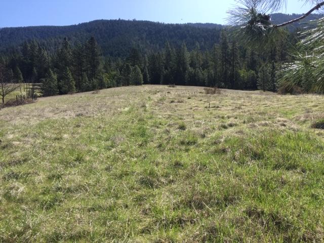 Thompson Creek Road Jacksonville, OR 97530 - Photo 5 of 19 Gallery Image 5