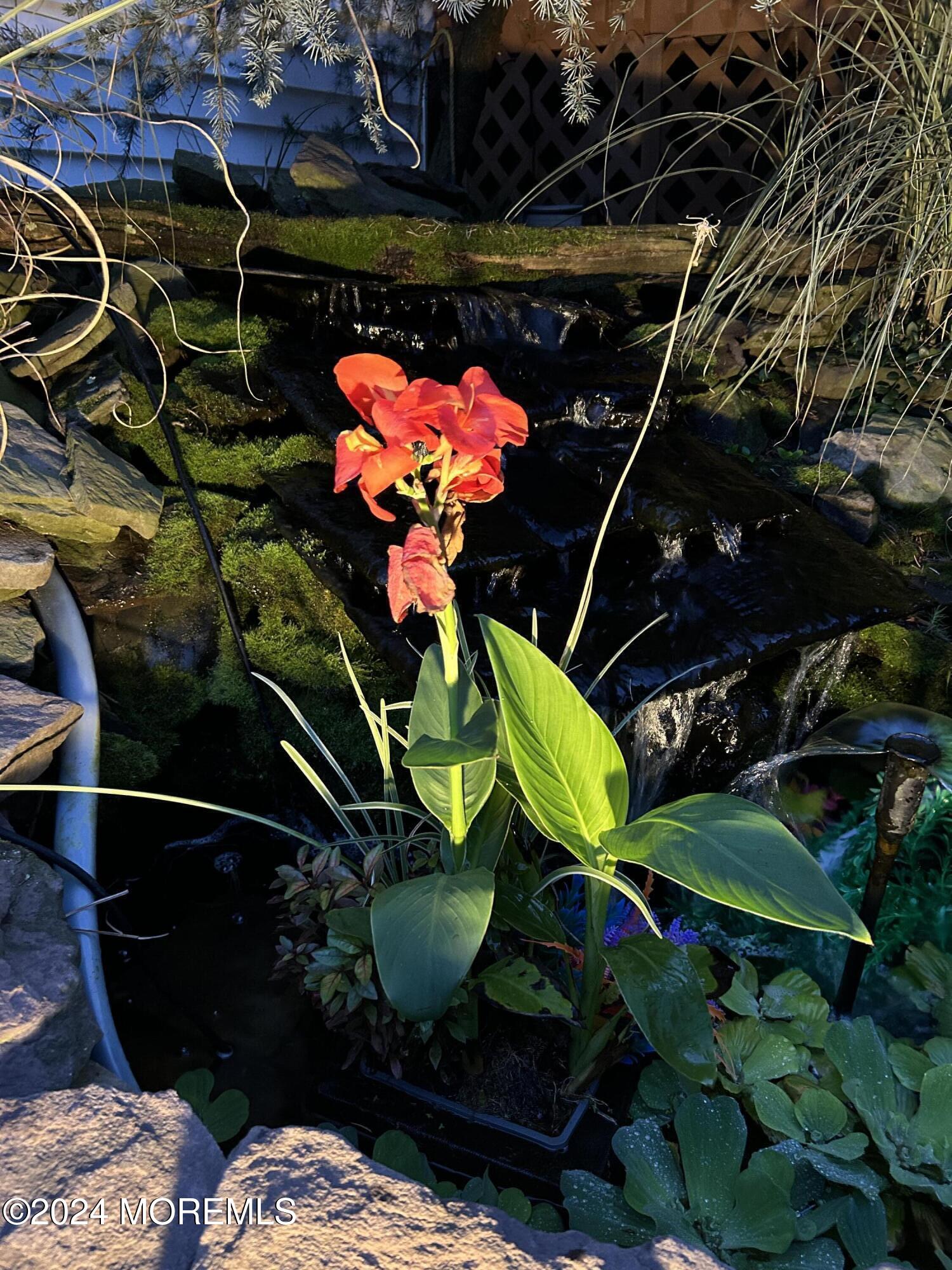 136 Smith Circle Point Pleasant, NJ 08742 - Photo 33 of 35 a backyard of a house with lots of green space and a toilet