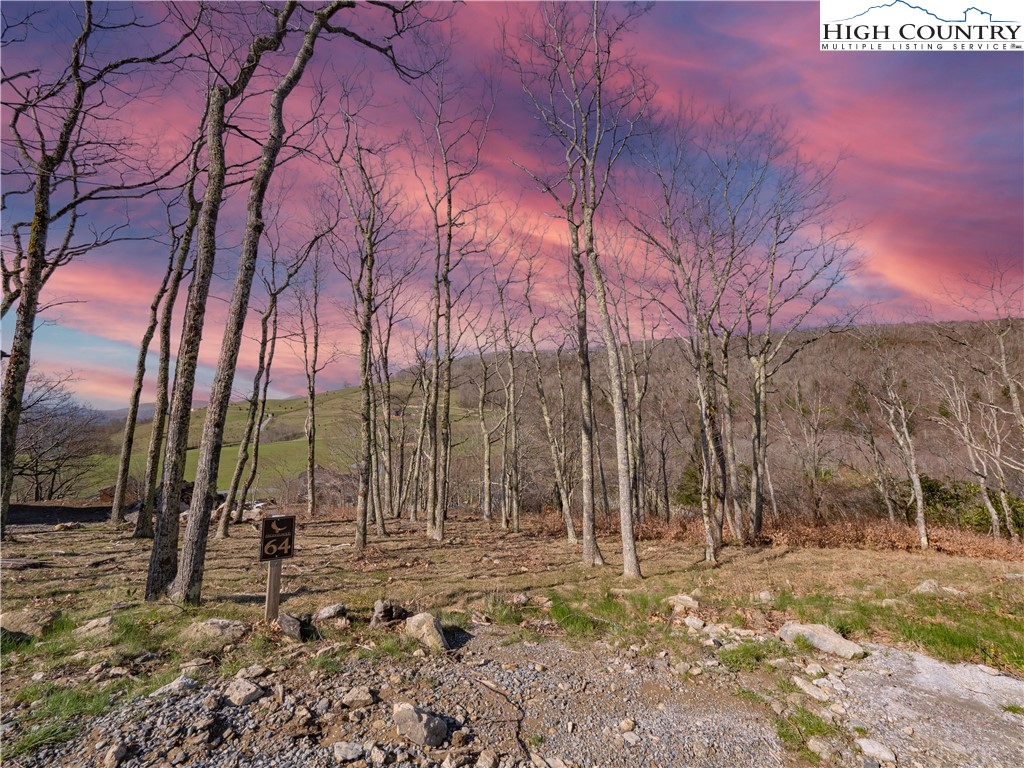 Lot 64 Valley Ridge Banner Elk, NC 28604 - Photo 2 of 10 a backyard of a house with lots of green space