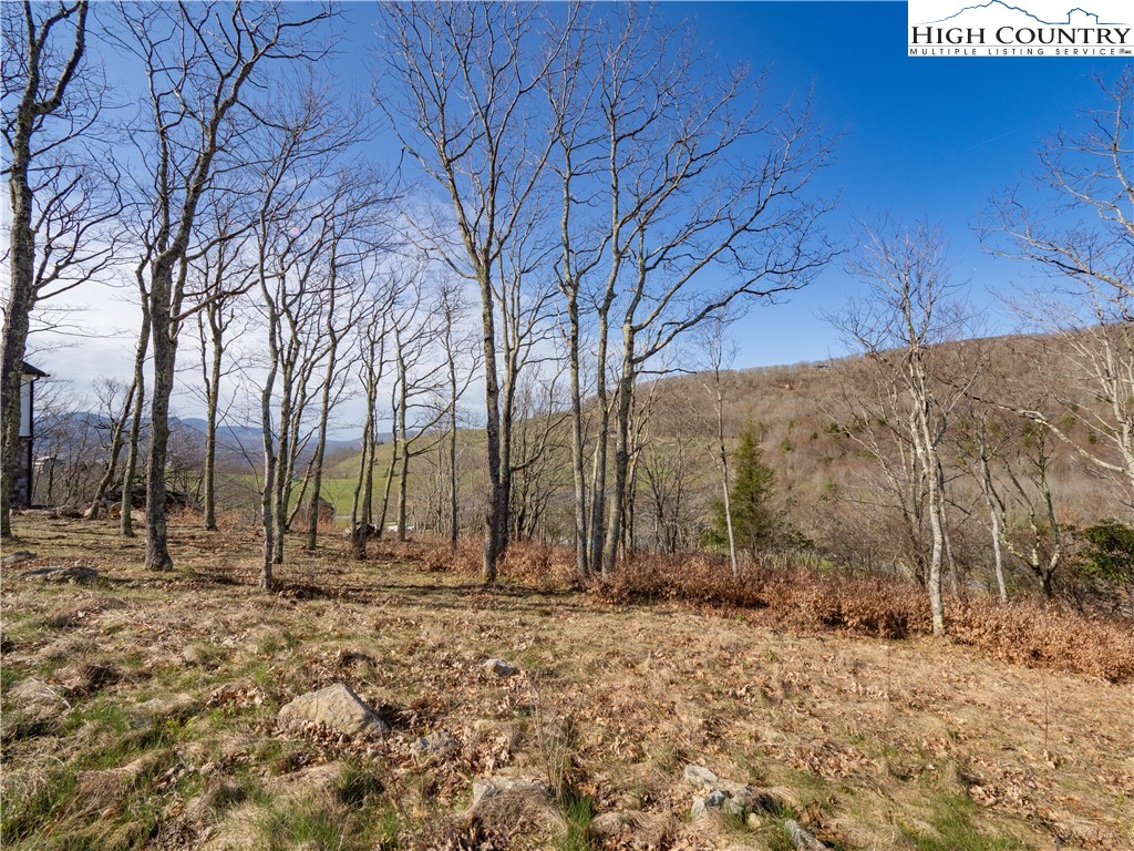 Lot 64 Valley Ridge Banner Elk, NC 28604 - Photo 5 of 10 a view of open space with trees