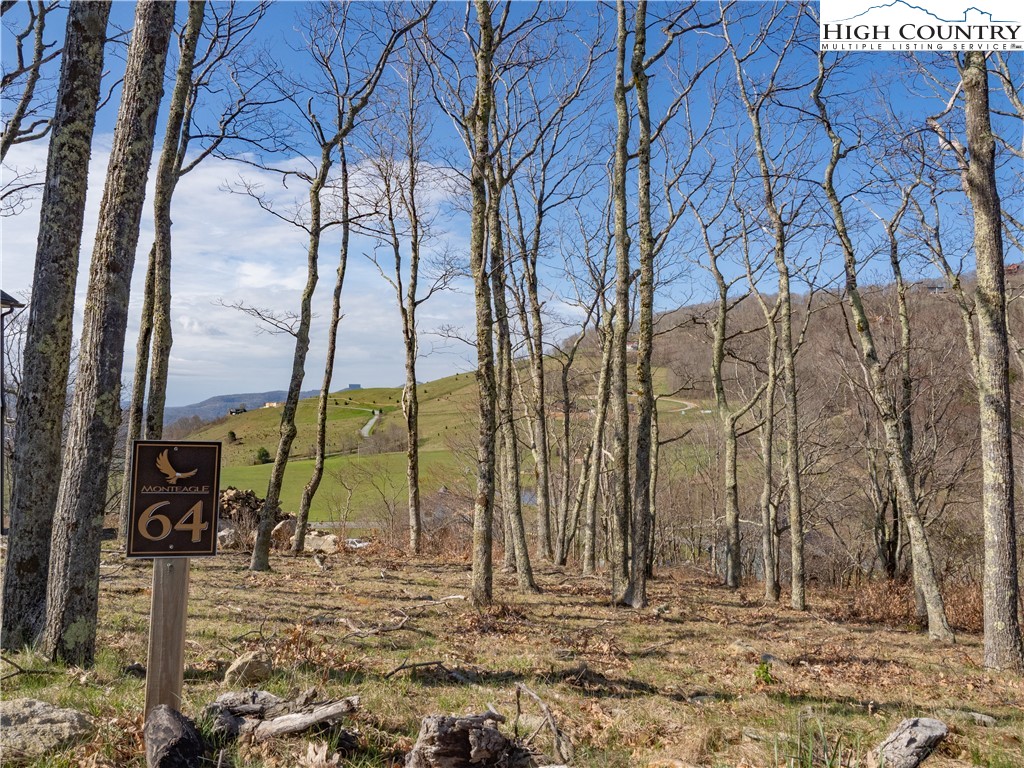 Lot 64 Valley Ridge Banner Elk, NC 28604 - Photo 10 of 10 a view of under construction area