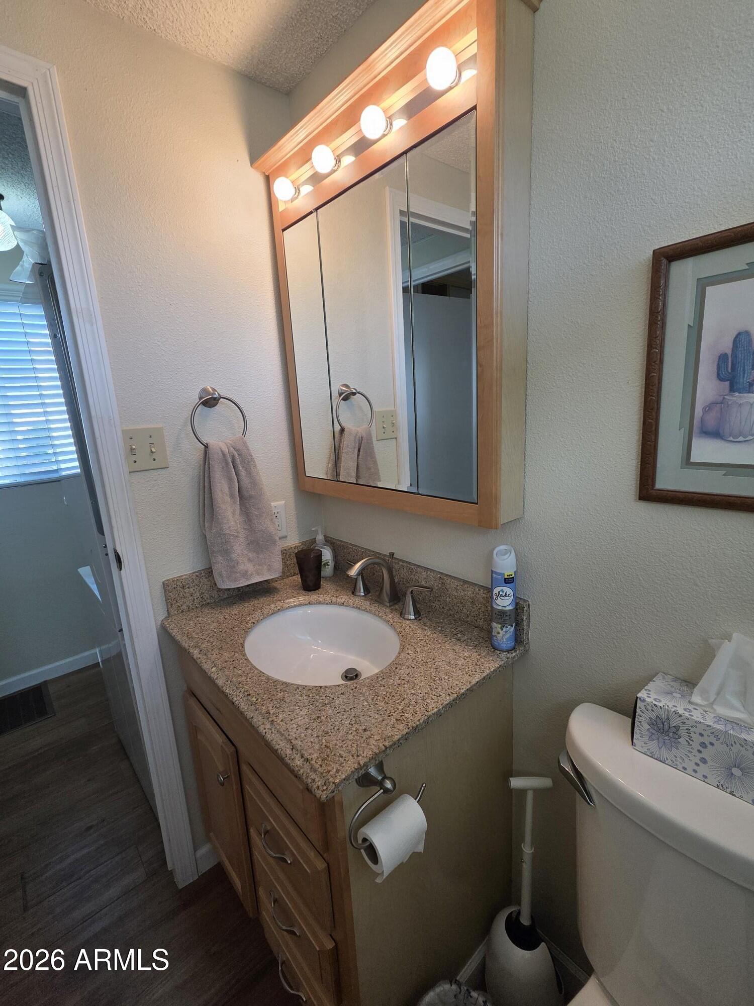 17200 West Bell Road, Unit 2169 Surprise, AZ 85374 - Photo 16 of 25 a bathroom with a granite countertop toilet a sink and a mirror
