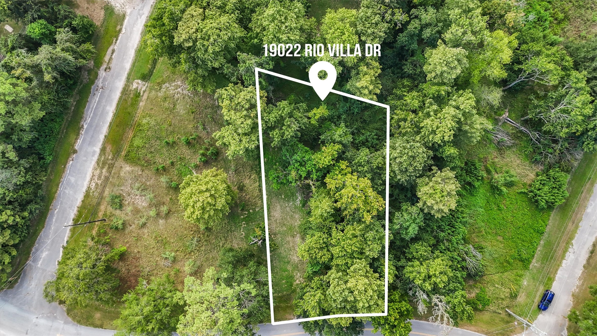 a backyard of a house with lots of plants and trees