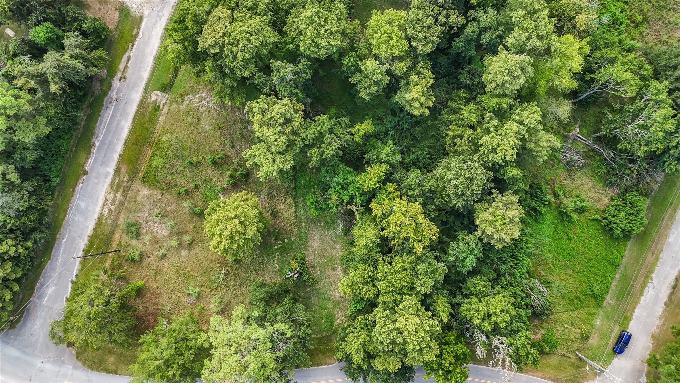 19022 Rio Villa Drive Houston, TX 77049 - Photo 4 of 6 a view of a garden