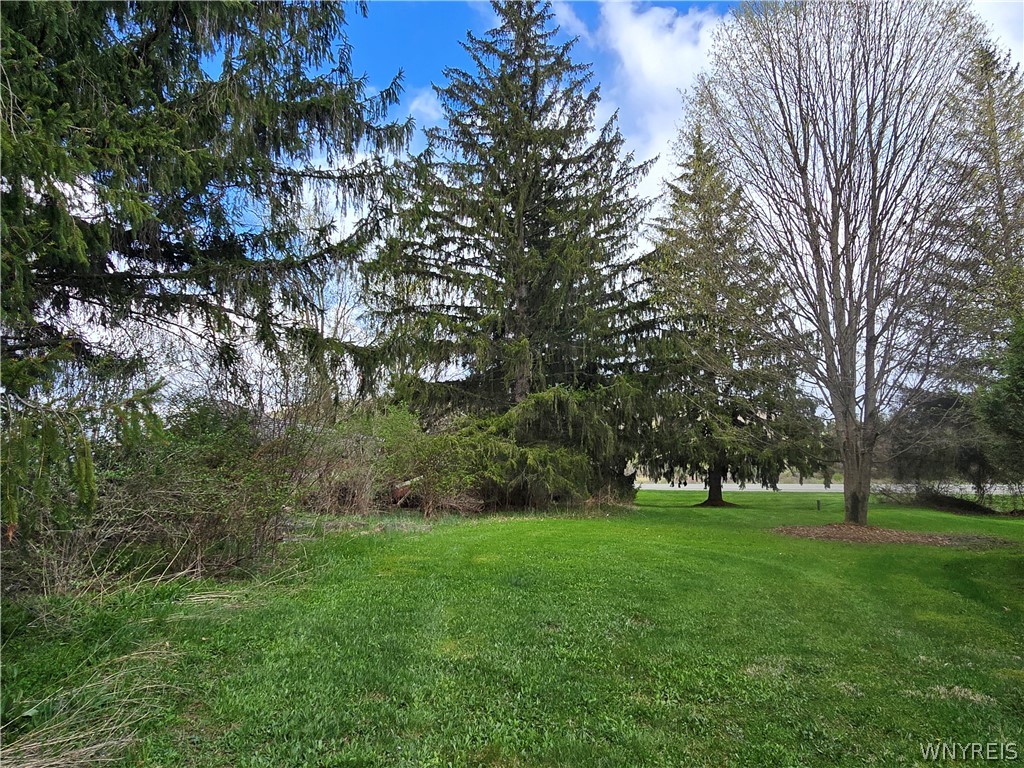 5266 Maple Lane Cuba, NY 14727 - Photo 6 of 40