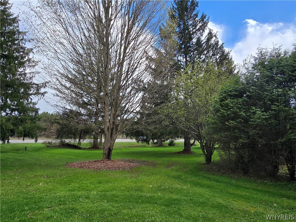 5266 Maple Lane Cuba, NY 14727 - Photo 7 of 40
