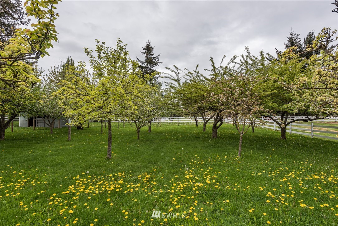 330 Williamson Road Sequim, WA 98382 - Photo 36 of 40