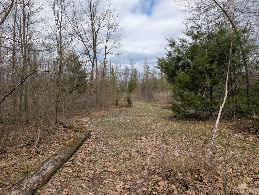 2889 Mill Station Road Hale, MI 48739 - Photo 31 of 33
