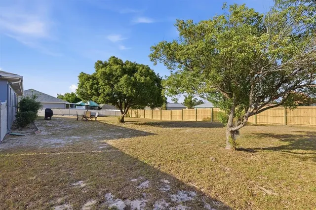 a view of road and trees