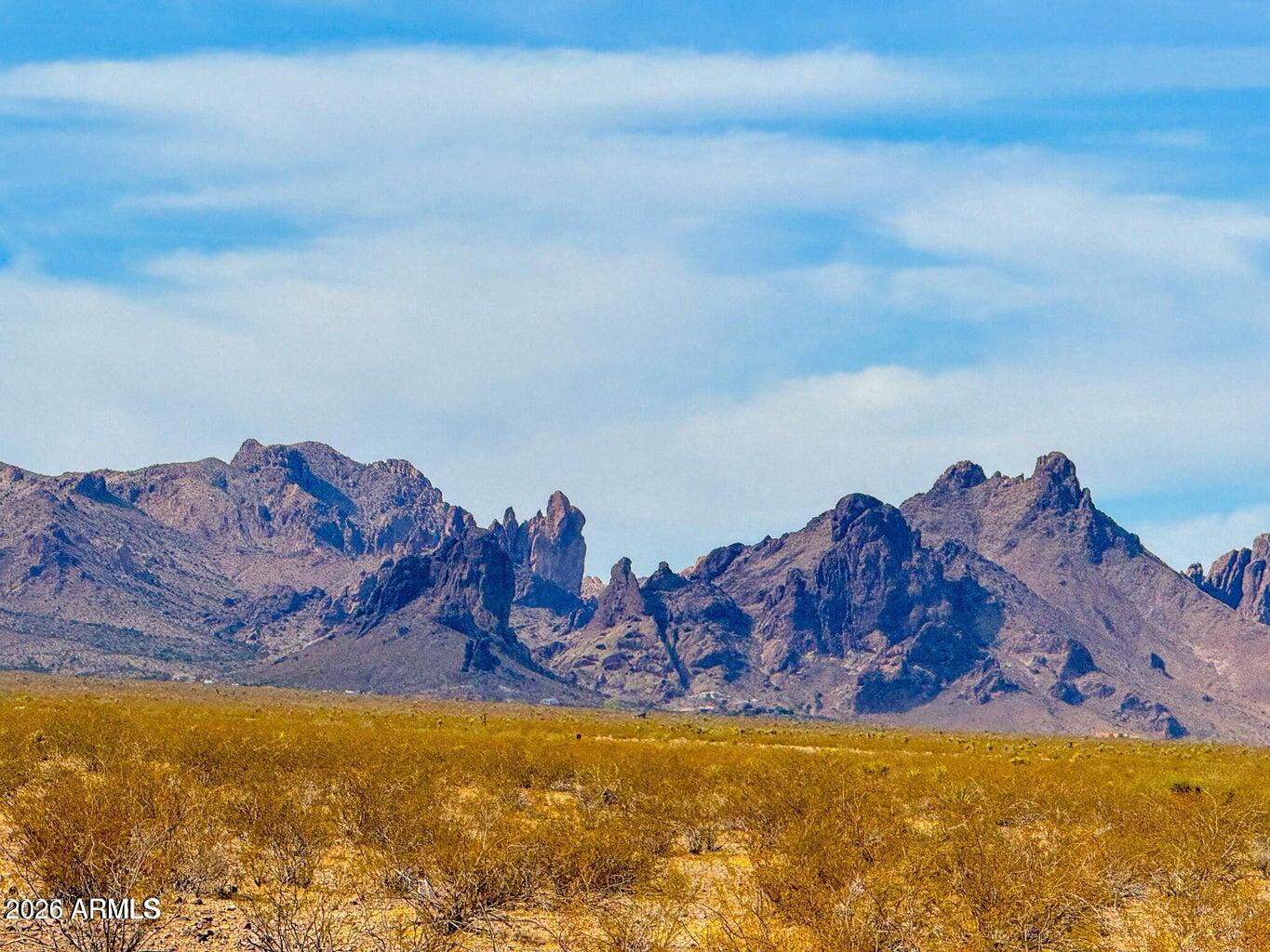 0 West Wingate Golden Valley, AZ 86413 - Photo 4 of 19 a view of a bed in a room