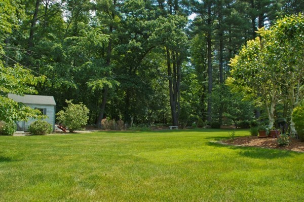 18 Chatham Way Lynnfield, MA 01940 - Photo 21 of 28 a view of a park with a trees in the background