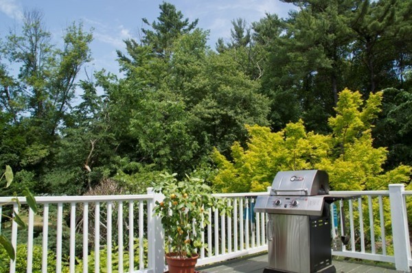 18 Chatham Way Lynnfield, MA 01940 - Photo 25 of 28 a wooden fence with trees in the background