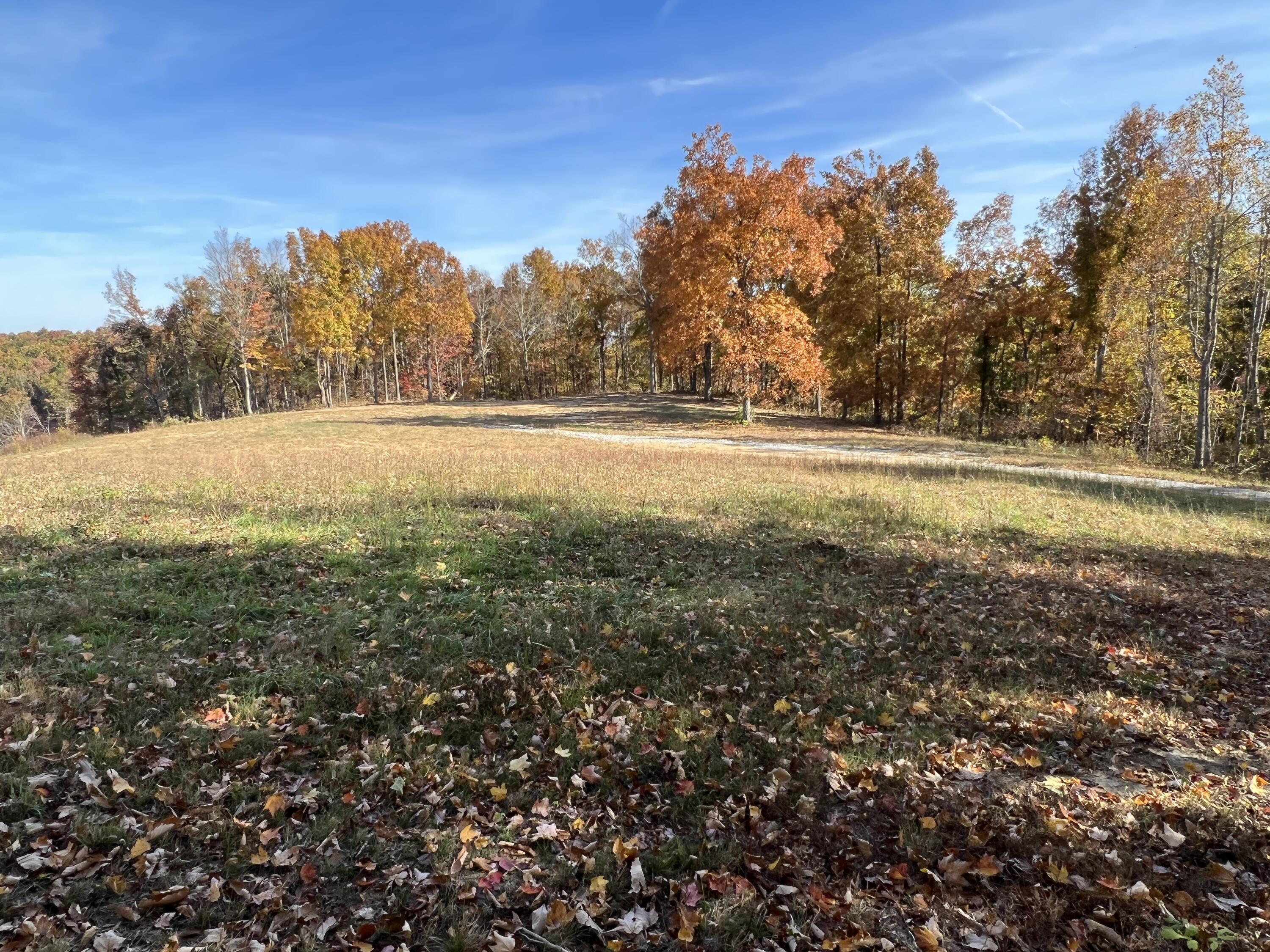 0 Lucian Isaacs Road McKee, KY 40447 - Photo 5 of 7 910EB28C-CEFD-4AA1-9C8A-2D5C169729BE