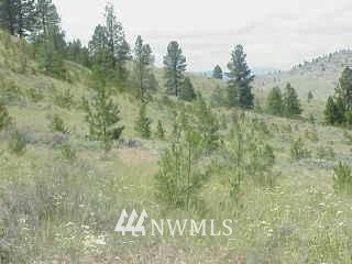 -tbd #2 Reevas Basin Road Tonasket, WA 98855 - Photo 1 of 1 Gallery Image 1