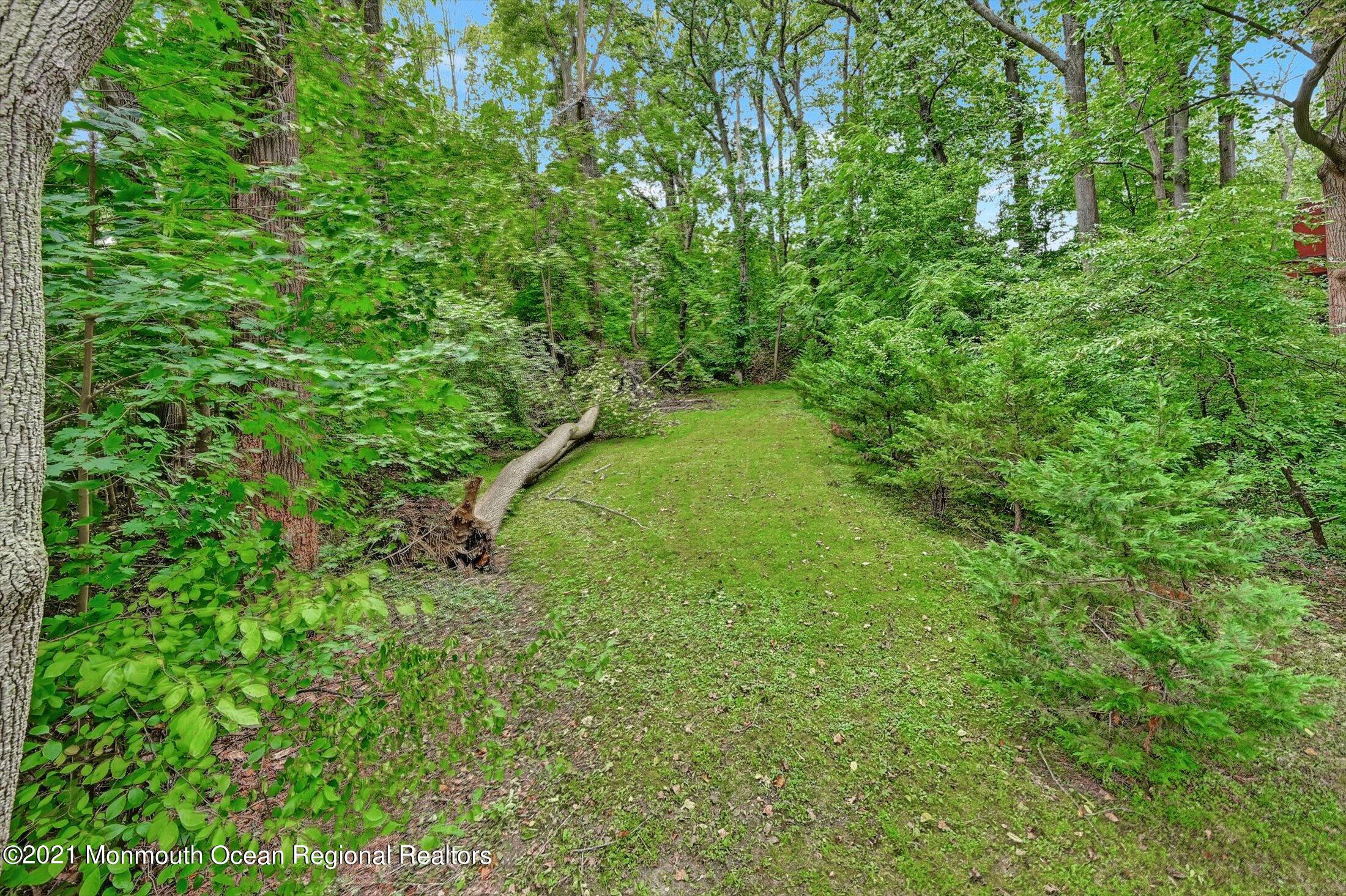 4 Fox Hunt Road Holmdel, NJ 07733 - Photo 34 of 39 Side Yard