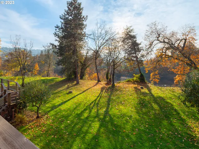 a view of a yard with large tree