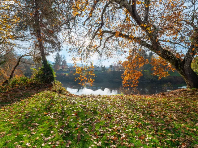 a backyard of a house with yard and outdoor seating