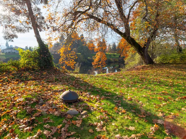 a backyard of a house with lots of green space and fog