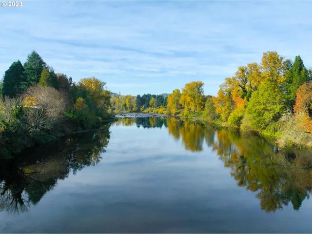 an aerial view of a house with a yard and garden
